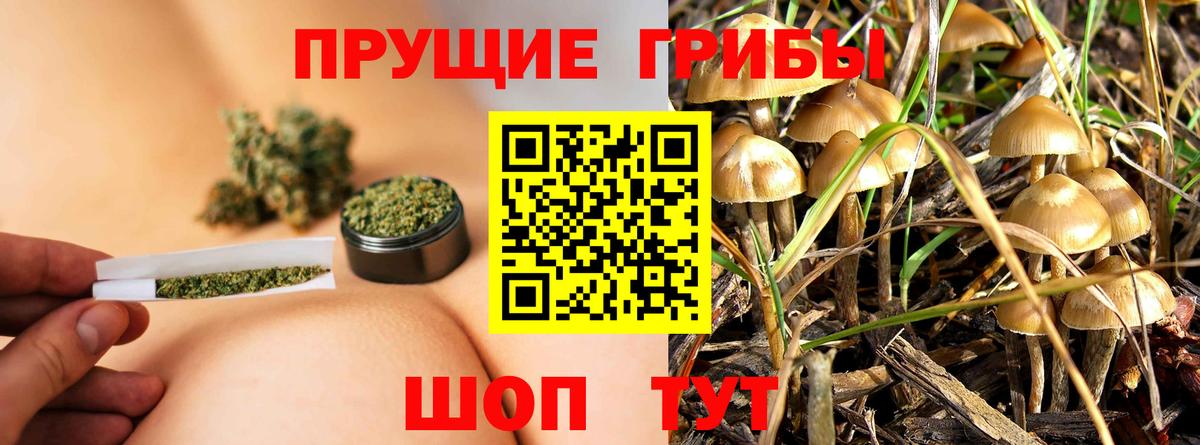 Гусь-Хрустальный  Псилоцибиновые грибы Psilocybine cubensis  Вход с VPN 