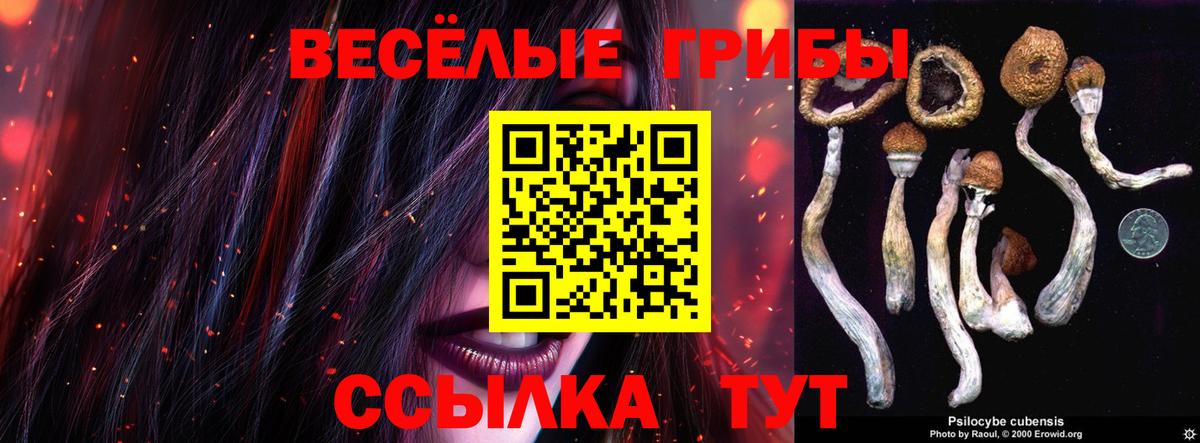 Псилоцибиновые грибы ЛСД Гусь-Хрустальный